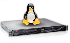 Linux VPS Server