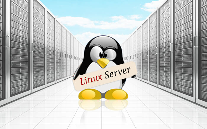 Linux VPS Server